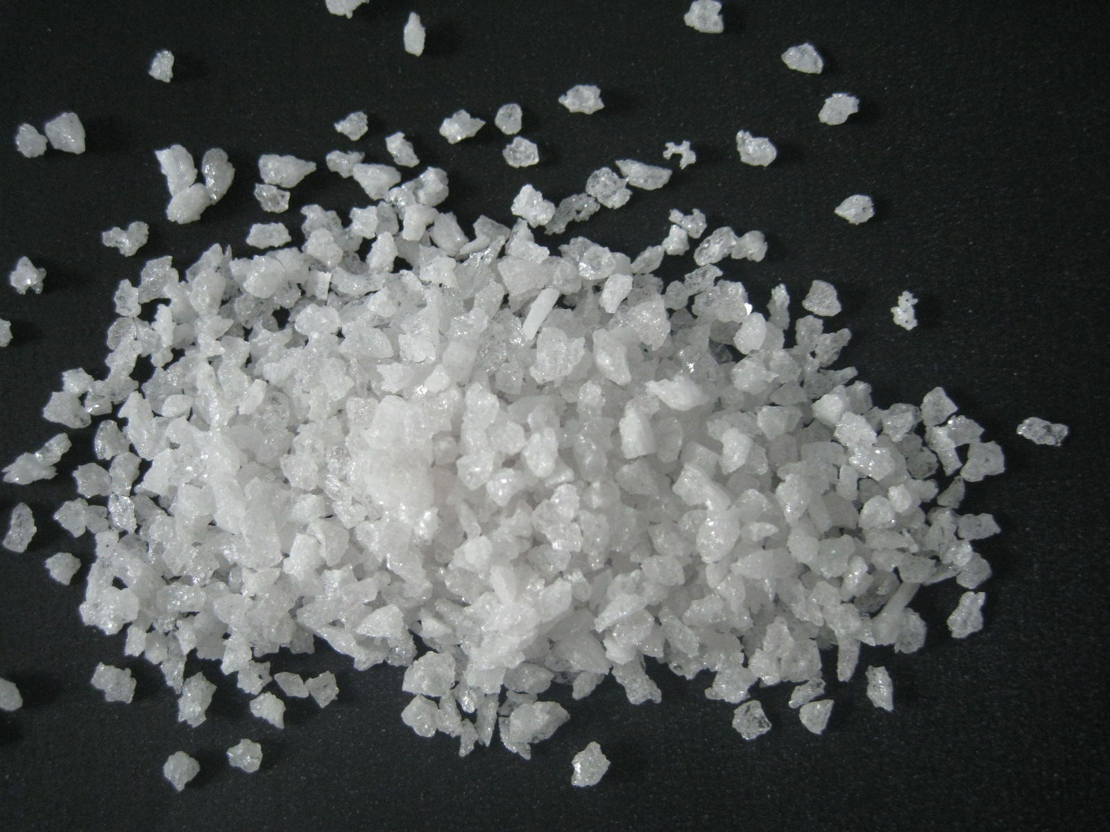 白菠萝蜜免费视频